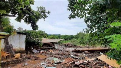 الطبيعة المتوحشة..