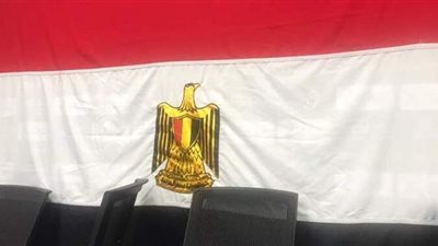 الرياضة تحقق في واقعة النسر المعكوس على العلم المصري باستاد الإسكندرية