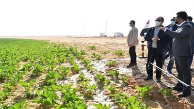 تفاصيل تفقد السيسي حصاد مشروع 