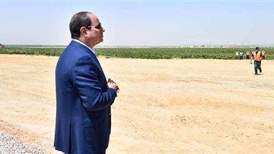 السيسي يدعو شركات مشروع مستقبل مصر لزيادة استثماراتهم وتذليل أية عقبات