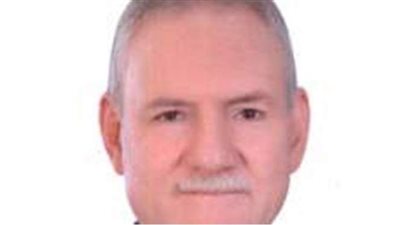 برلماني: توطين الصناعات الثقيلة خطوة لدعم الصناعة