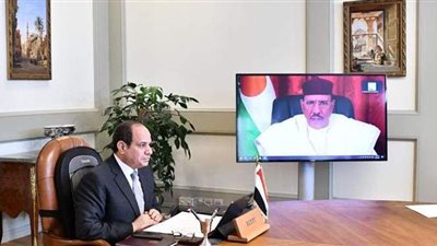 السيسي يشارك في حوار القادة حول التداعيات الطارئة لجائحة كورونا وتغير المناخ في أفريقيا