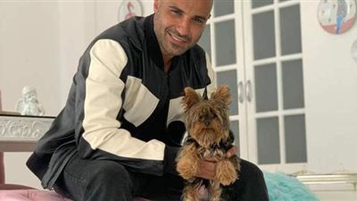 هنا الزاهد عن علاقة أحمد فهمي بالكلبة زيزي: مريبة وكأنها حبيبته | فيديو