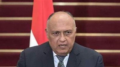 وزير الخارجية: نتخذ كل الإجراءات الكفيلة بحماية أمننا المائي