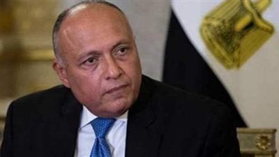 وزير الخارجية: ننسق مع السودان لاتخاذ الإجراءات التي تحفظ حقوقنا بشأن سد النهضة