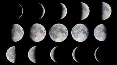 الرأي الشرعي بين علماء الفلك والشريعة حول رؤية الشهور القمرية