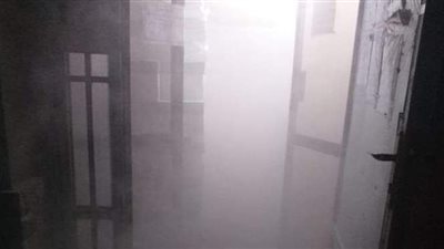 جامعة المنصورة توضح حقيقة نشوب حريق بمركز جراحة الكلى والمسالك البولية