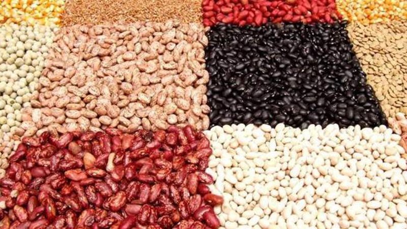 اسعار البقوليات