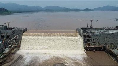 سياسي سوداني: ليس أمامنا غير اللجوء لمجلس الأمن لحل أزمة سد النهضة