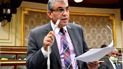 رئيس القوى العاملة بالبرلمان: المدن الصناعية المتخصصة تساهم في توفير فرص عمل للشباب