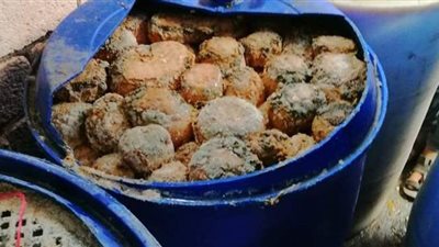 حملات تفتيشية في الدقهلية قبل شهر رمضان | صور