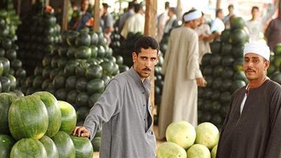 بشائر البطيخ تبدأ مبكراً.. وخبير: توقعات بوفرة في الإنتاج وغموض موقف الأسعار