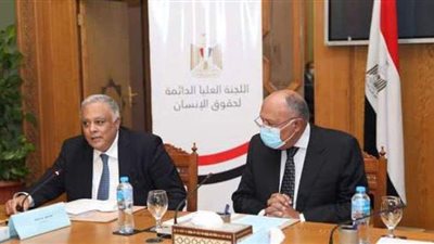 العليا لحقوق الإنسان تصدر تقريراً عن إنجازات الدولة خلال الربع الأول من 2021