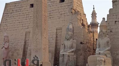 سفير الإمارات بالقاهرة يشارك الأقصر الكشف الأثري بحضور وزيري |فيديو