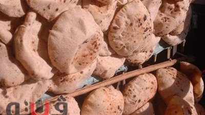 تحرير 44 محضرا متنوعا في الأقصر