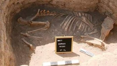 المدينة المفقودة.. أكبر مستوطنة إدارية وصناعية في عصر الإمبراطورية المصرية