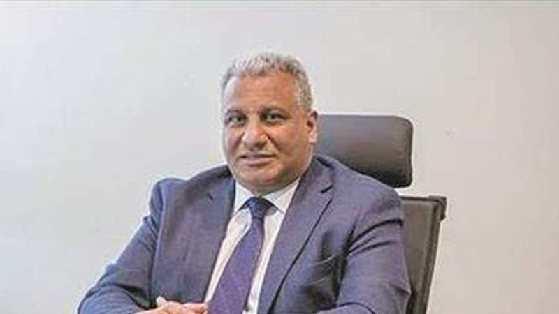 د. محمد المكاوي