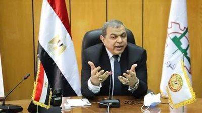 القوى العاملة : تحصيل 74 ألف جنيه مستحقات 3 مصريين بالرياض