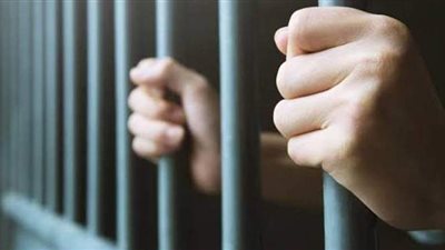 حبس عصابة تخصصت في سرقة أموال المواطنين بالبحيرة