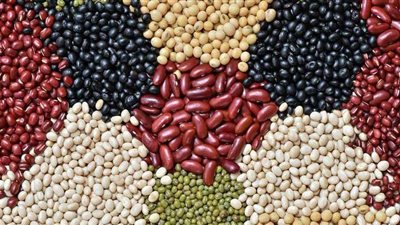 أسعار البقوليات اليوم السبت 10-4-2021 في الأسواق المصرية