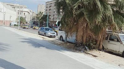 موجة من الصقيع تضرب الإسكندرية