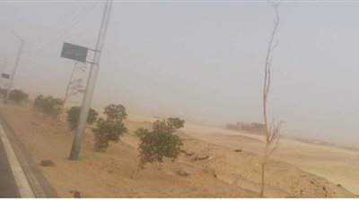 توقف حصاد القمح بالوادى الجديد بسبب العواصف الترابية