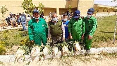 وزيرا الزراعة والإنتاج الحربي يتفقدان مشروع الـ20 ألف فدان بالمنيا| صور