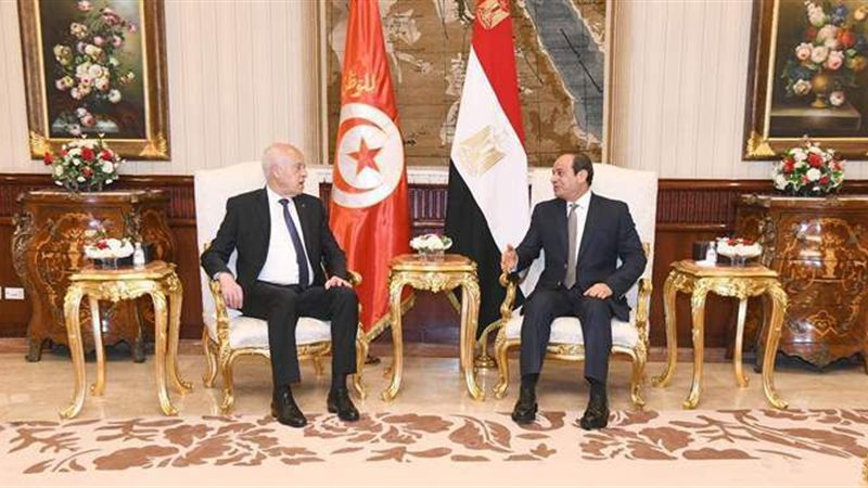 الرئيس السيسي ونظيره