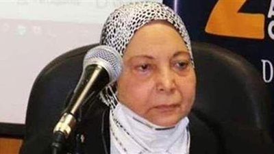 بعد وفاتها.. البرلمان يعلن خلو مقعد النائبة المعينة فرحة الشناوي