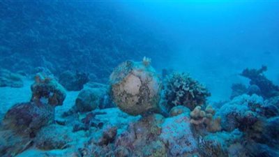 الكشف عن مقدمة السفينة الغارقة بجزيرة سعدانة في البحر الأحمر