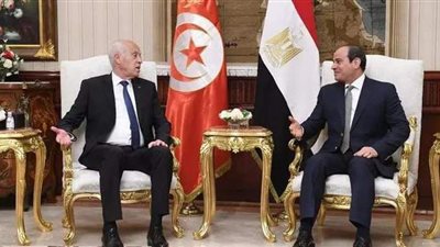 نشرة أخبار مصر: السيسي يستقبل نظيره التونسي.. الأرصاد تحذر من طقس أول أيام رمضان.. الري تعلن موقفها النهائي من مقترح إثيوبيا