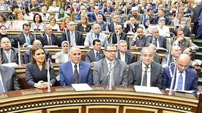 خطة النواب: رصدنا تزايد الدين العام الحكومي سنويا بشكل مضطرد‎