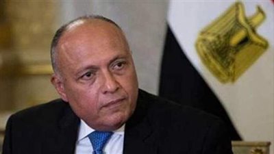 وزير الخارجية يكشف الخط الأحمر في ملف سد النهضة