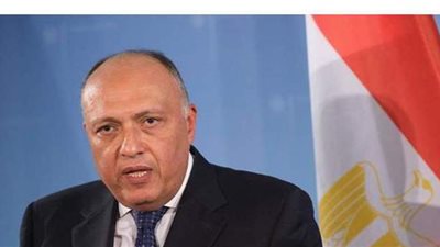 وزير الخارجية: نتخذ كل الإجراءات الكفيلة لحماية حصتنا في مياه النيل