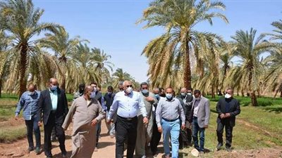 تدشين مشروعات وصوب زراعية بالوادي الجديد