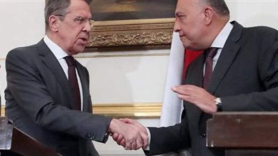 بينها سد النهضة.. سامح شكرى يبحث مع نظيرة الروسي عدة قضايا