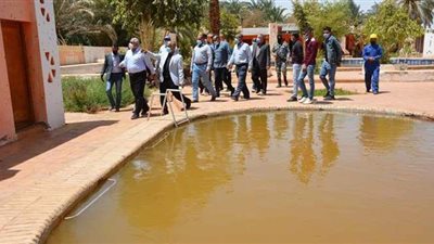 محافظ الوادي الجديد يوجه برفع كفاءة آبار موط السياحية