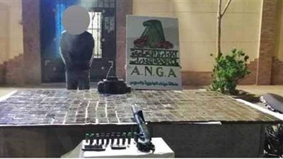 ضبط 400 طربة لمخدر الحشيش وأسلحة نارية داخل مزرعة في السويس