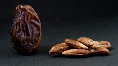 احذر رميها.. نواة التمر علاج سحري في رمضان
