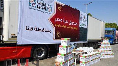 محافظ قنا يستقبل قافلة 