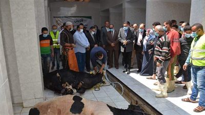 محافظ الدقهلية يدشن مبادرة ذبح وتجهيز اللحوم لتوزيعها علي الأسر الأولى بالرعاية في رمضان