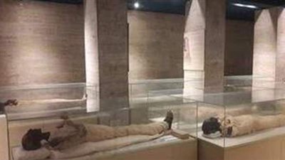 تمهيدا لعرضها يوم التراث العالمي.. الانتهاء من صيانة وتهيئة ١٤مومياء ملكية بمتحف الحضارة