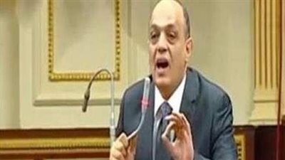 برلمانى: نسعى لتطبيق قانون تنمية المشروعات الصغيرة وإزالة معوقاته