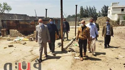 الصحة ترصد حشرات زاحفة في مخازن الأغذية بالشرقية | صور