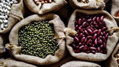 أسعار البقوليات اليوم الأربعاء 14-4-2021 في الأسواق المصرية