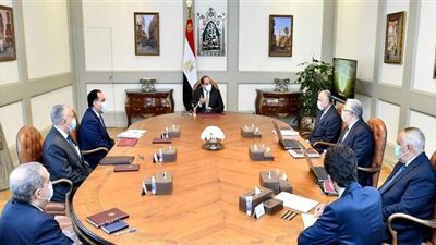 12 معلومة عن جهود تطوير نظم الري.. السيسي يكلف بضمان عوامل النجاح والتنفيذ