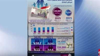 كيف ينتعش دخل الأسرة في 2025؟.. أستاذ اقتصاد يجيب | فيديو