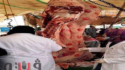 ضبط لحوم وأسماك فاسدة.. «بيطري الشرقية» تعلن الحرب على تجار الموت | صور
