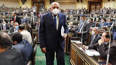 وزير الخارجية يشارك اليوم في اجتماع اللجنة الأفريقية بالبرلمان