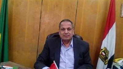 تخصيص 7 صوامع لاستلام محصول القمح المحلي بالمنيا